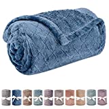 Baby Blanket or Pet Blanket, Comfy Soft Warm Blankets for Baby Girls and Boys, Dog and Cat, Plush Fleece Throw Blankets for Sofa, Couch, Travel and Camping (Grid 28" x 40", Ocean Blue)