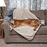 Furhaven Pet Bed Blanket for Dogs and Cats - Self-Warming Waterproof Terry and Faux Lambswool Thermal Dog Throw Blanket, Washable, Cozy Denim, Extra Large