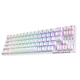 LTC NB681 Nimbleback Wired 65% Mechanical Keyboard, RGB Backlit Ultra-Compact 68 Keys Gaming Keyboard with Hot-Swappable Switch and Stand-Alone Arrow/Control Keys (Hot Swappable Red Switch, White)