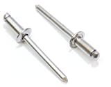 Bolt Dropper Rivets Stainless Steel 1/8" x 1/4" Inch (100 Pack), Gap (0.188-0.250)", Blind Rivets, (4-4)