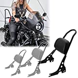 Sportster Sissy Bar Fits 04-21 XL Models One-Piece Detachables Iron 1200 XL1200NS Sissy Bar for Motorcycles Harley Sportster 883 Accessories Pad Luggage Rack Backpack Roadster Superlow Forty-Eight