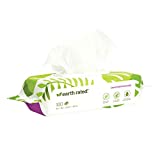 Earth Rated Dog Wipes, 100 Plant-Based and Compostable Wipes for Dogs, USDA-Certified 99 Percent Biobased, Hypoallergenic, Lavender-Scented 8x8 Deodorizing Grooming Pet Wipes for Paws, Body and Butt
