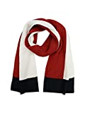 Tommy Hilfiger Men's Scarf, White Flag, One Size