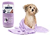 DAN RIVER 100% Cotton Dog Bath Towel|Dog Grooming Towels| Absorbent Dog Towels for Drying Dogs|Soft Towels for Dogs|Dog Drying Towel for Small, Medium, Large Dogs|Embroidered Pattern|20x40 in|450 GSM