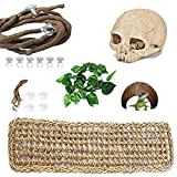 PINVNBY Bearded Dragon Tank Accessories,Reptiles Resin Human Skull Habitat Decor,Lizard Hammock Coconut Shell Hut Hideouts Cave Jungle Climber Vines Leaves Decorations for Chameleon Snake Spider Gecko