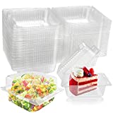 100 Pcs Clear Hinged Plastic Containers,Disposable Takeout Boxes,Transparent Clamshell Food Containers for Pastry,Salad,Cakes and Sandwich