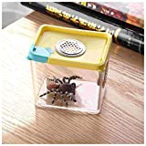 crapelles Colored Insect Habitat cage Butterfly Spider Mantis Bottle Frog Cricket Snail Box Bug Catcher Breathable Outdoor Science and Natural Animal Exploration Tools Critter Caterpillars Container