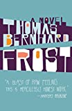 Frost: A Novel (Vintage International)