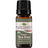 Plant Therapy Organic Tea Tree Oil (Melaleuca) 100% Pure, USDA Certified Organic, Undiluted, Natural Aromatherapy, Therapeutic Grade 10 mL (1/3 oz)