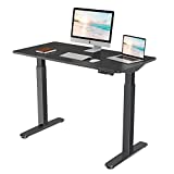 EUREKA ERGONOMIC Electric Standing Desk 48 x 24, Dual Motor Height Adjustable Stand Up Desk for Home Office, Self-Locking Protection, Black Top