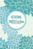 Gestational Diabetes Log Book: A Blue Foral Food Journal and Daily Blood Sugar Tracker