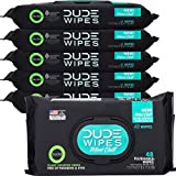 Dude Wipes Flushable Wet Wipes Dispenser, Mint Chill, 288 Count (Pack of 6) Scented Wet Wipes with Vitamin-E, Aloe, Eucalyptus & Tea Tree Oils, Septic and Sewer Safe