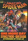 The AMAZING SPIDER-MAN ONE MORE DAY