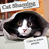 2022 Square Wall Calendar - Cat Shaming, 12 x 12 Inch Monthly View, 16-Month, Animals - Humour Theme, Includes 180 Reminder Stickers
