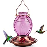 BOLITE 18016-P Hummingbird Feeder, Glass Hummingbird Feeder for Outdoors, Netted Texture Ball Shape Bottle, 18 Ounces, Lavender