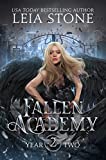 Fallen Academy: Year Two