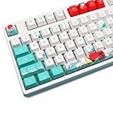 MOLGRIA Keycaps 110 Set for Full Size Mechanical Keyboard, PBT OEM Profile Keyboard Keycap with Keycap Puller for Cherry MX 104/87/71/61 60 Percent Keyboard(Coral Sea)