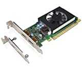 Lenovo GeForce GT 730 Graphic Card - 2 GB GDDR5 - Low-Profile