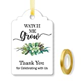 Watch Me Grow Tags for Baby Shower Succulents, Baby Shower Thank You Tags, Baby Shower Favor Tags, 1.7 x 2.8 Inch, 50 Pack with Golden Ribbon.