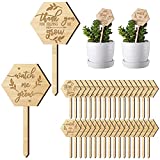 36 Pieces Watch Me Grow Succulent Tag Thank You for Helping Me Grow Plant Markers Wooden Plant Label Succulent Labels for Seed Flowers Garden Potted Plants