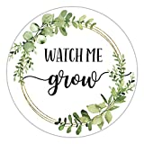 Watch Me Grow Stickers, Greenery Wedding Favor Stickers, Baby Shower Stickers, Favors, Decorations, 2 Inch, Pack of 50