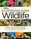 National Geographic Illustrated Guide to Wildlife: From Your Back Door to the Great Outdoors