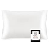 OLESILK 100% Mulberry Silk Toddler Pillowcase for Hair and Skin, Both Sides 19 Momme Pure Natural Silk Travel Pillow Cases with Hidden Zipper, 13"x 18", Ivory