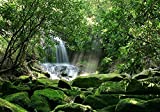 Reptile Habitat, Terrarium Background,Sunny Green Trees with Waterfall & Mossy Rock (Various Sizes) (18" H x 36" W)