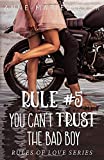 Rule #5: You Can't Trust the Bad Boy (The Rules of Love)