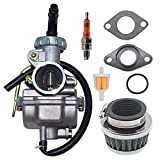 PZ20 Carburetor For TaoTao Baja 50cc 70cc 90cc 110cc 125cc Chinese Quad 4 Stroke ATV 4 Wheeler Go Kart Dirt Bike