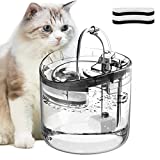 HAPUP Cat Water Fountain Animal Water Dispenser 61OZ/1.8L Automatic Pet Drinking Fountain Clear Upgrade with 2 Filter Replacement 1 Adjustable Silent 1 Water Pump for Cats Kitty Indoor