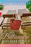 Her Billionaire Boss Fake Fiancé (The Hawk Brothers Romances Book 3)
