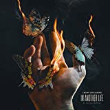 In Another Life (feat. Courtney LaPlante)