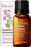 Gya Labs Egyptian Geranium Essential Oil (10ml) - 100% Pure Aromatherapy Therapeutic Grade Geranium Essential Oils for Skin, Hair Growth, Body Massage & Diffuser