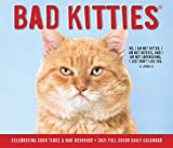 Bad Kitties 2021 Box Calendar
