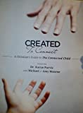 Created to Connect - A Christian's Guide to the Connected Child