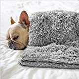 BENRON Small Dog Blanket for Couch Bed Crate, Cozy Reversible Fleece Dog Blanket, Washable Fluffy Throw Blankets 20x30 Inches Grey