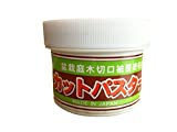 CUTPASTER Bonsai Cut Paste Tool 190g (Gray)