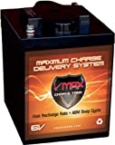 VMAXTANKS 6 Volt 225Ah AGM Battery: High Capacity & Maintenance Free Deep Cycle Battery for Golf Carts, Solar Energy, Wind Energy.