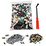 HiYi Nylon Bumper Clips Expansion Screws Replacement Kit，500Pcs Universal Plastic Fender Clips & Door Trim Panel Clips-Most Popular Sizes Auto Push Pin Rivets Set，with 1PC Fastener Remover Tool