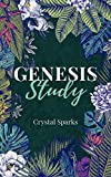 Genesis Study: A Beginners Study Guide into the Book of Genesis