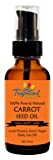 Tropical Holistic 100% Pure Natural Carrot Seed Oil 2oz, Premium Grade Cold Pressed Unrefined Beauty Oil For Youthful, Radiant Skin, Face, Hair, Anti Wrinkle, Brightening & Moisturizing