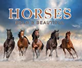 Horses: Bold and Beautiful