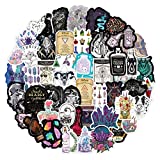 Apothecary Stickers,50Pcs Pharmacist Druggist Chemist Stickers for Laptop,Bumper,Skateboard,Water Bottles,Computer,Phone, Cool Stuff for Teens, Kids, Adults (Apothecary)