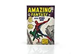 Toynk Marvel Comics Spider-Man Amazing Fantasy #15 Comic Book Canvas Art | Collectible Spider-Man Poster | Measures 9 x 5 Inches