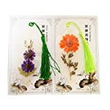 Set of 2 Floral Bookmark, Tree Leaf Bookmarker Set with Tassel, Reading Mark with Leaf Vein Dried Flowers and Plants, Transparent Book Marks for Book, Phones, Car Mirrors, Home Decor, Leaf Shaped