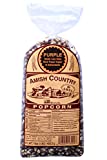 Amish Country Popcorn | 1 lb Bag | Purple Popcorn Kernels | Old Fashioned with Recipe Guide (Purple - 1 lb Bag)