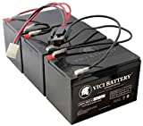 Vici Battery for Razor 36 Volt 12 AH MX500 & MX650 versions 1-7 & Crazy Cart XL Includes Battery Wire Harness and 12V 12ah x3