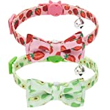 EXPAWLORER Cat Collar with Bells - Bowtie Fruit Style Safe Breakaway Cat Collars Set Strawberry & Avocado Pattern Kitten Collar, 2 Pack