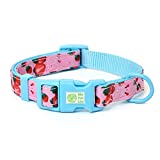 Mile High Life | Tropical Fruit Summer Collection | Soft Poly Cotton Fabric | Girl Dog Collars (Strawberry, Collar -XS)